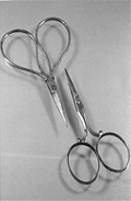 Photograph of two pairs of 19th C scissors