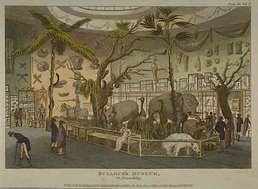 View showing interior of George Bullock's museum in London